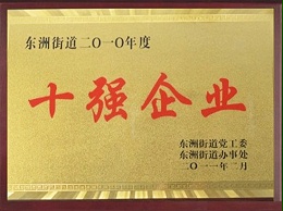 2010年十强企业